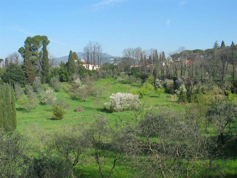 Villa Ulivi Florencie Exteriér fotografie